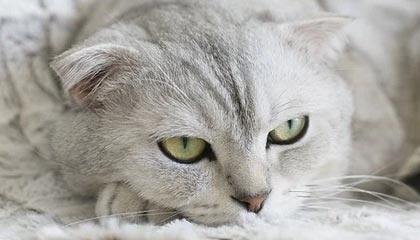 九游体育网站_ 全国青少年高空跳绳大师赛，突破极限的青春热血