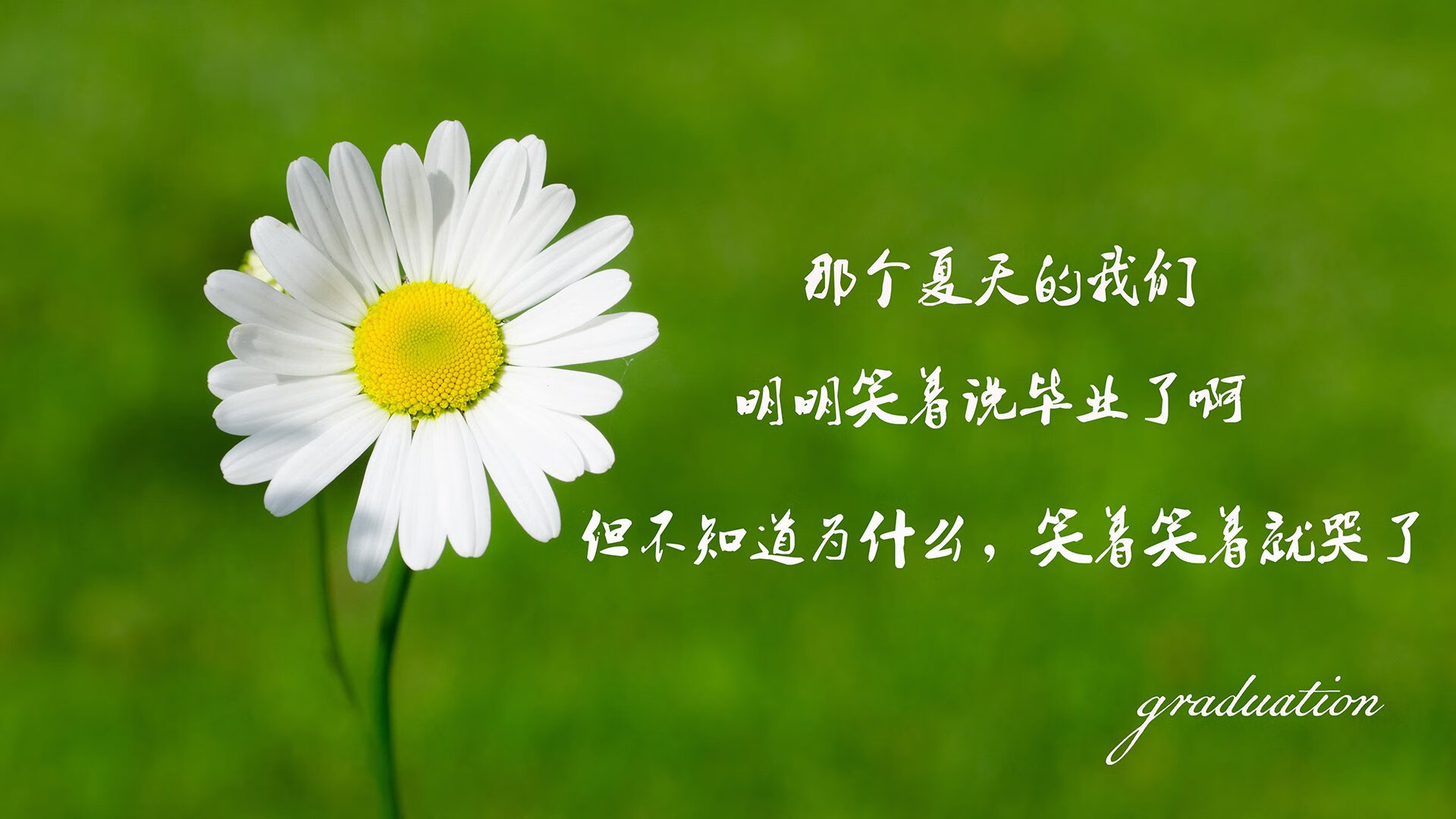 球迷奇迹：你支持的球队最感人的瞬间，《球迷之歌》