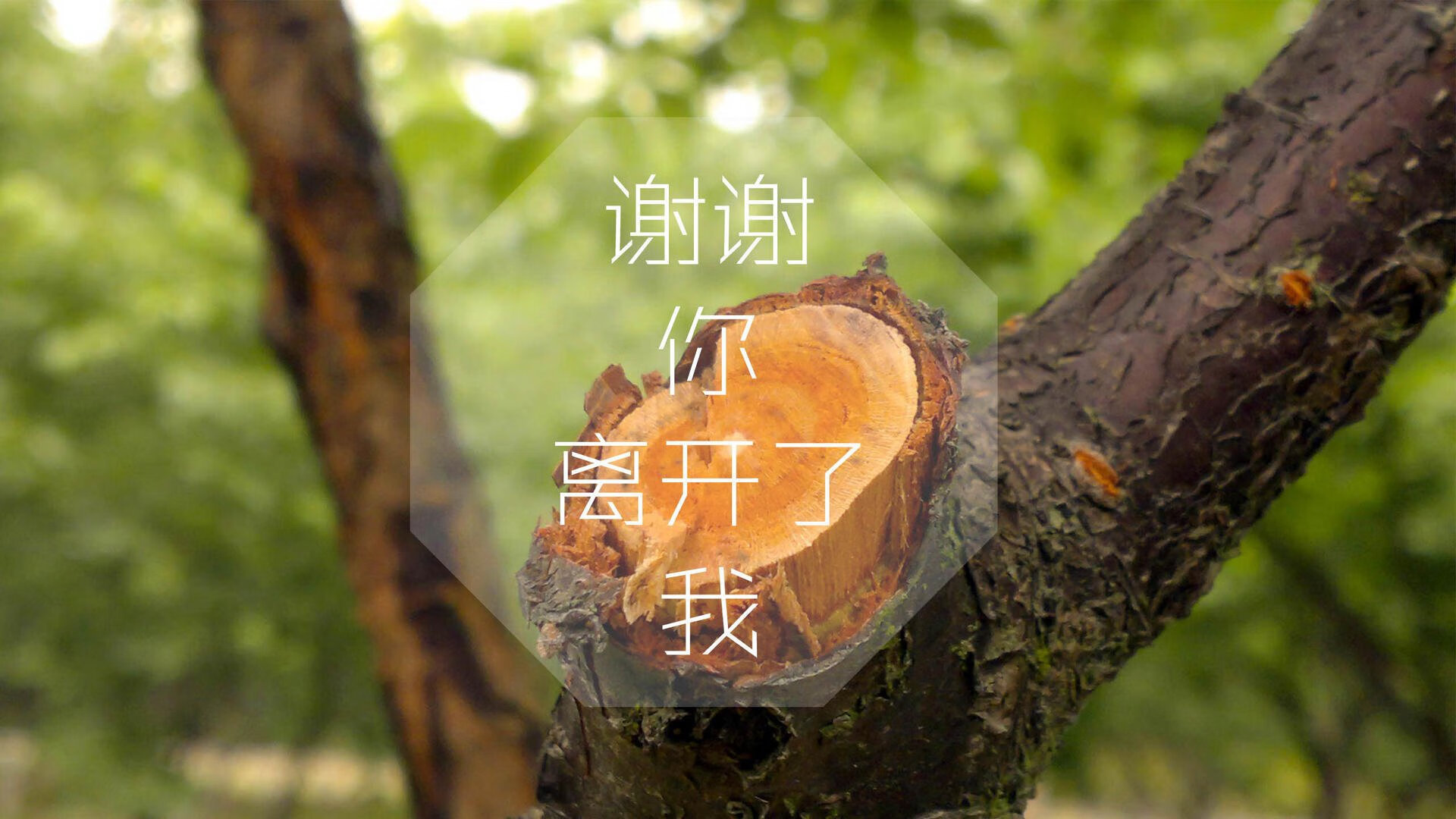 我国女足战略转变 为国争光意义更加重大，我国女足取得的成绩