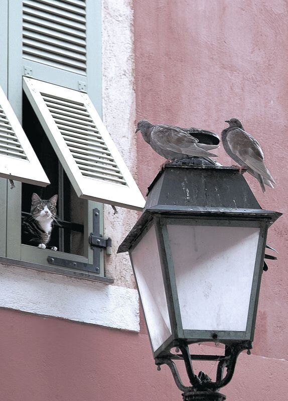 篮球公益项目助力体育扶贫促进篮球运动普及和发展,篮球公益活动