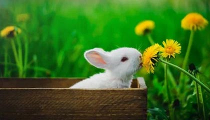 九游体育网站_ 全市马拉松志愿者争霸赛，团队合作的力量，马拉松志愿者公众号