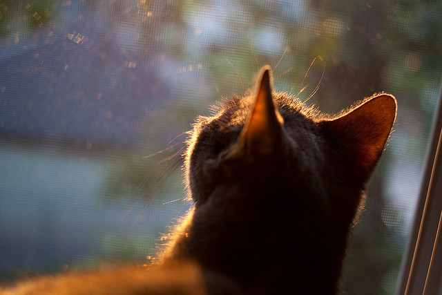 球员伤病潮来袭,俱乐部应对压力大,球员伤病有工资吗