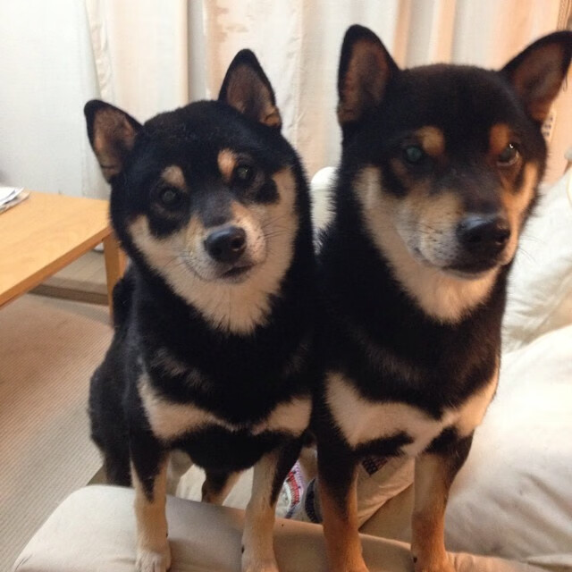 穆里尼奥与球迷互动化解误会，穆里尼奥踢球经历