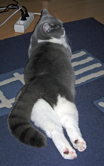 社交平台话题榜前十多条与比赛相关球迷热情讨论热度不减,社交互动平台