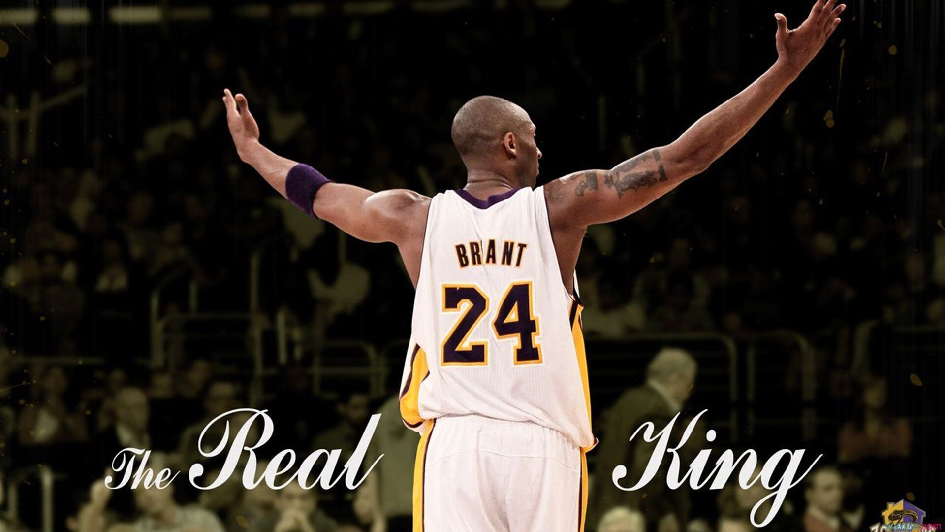 _森林狼迎来黄金时段，逐步缩小差距_，森林狼战绩