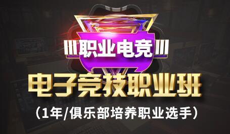 九游体育:王者荣耀参赛老手的心得与战术分享，职业之路的回顾的简单介绍