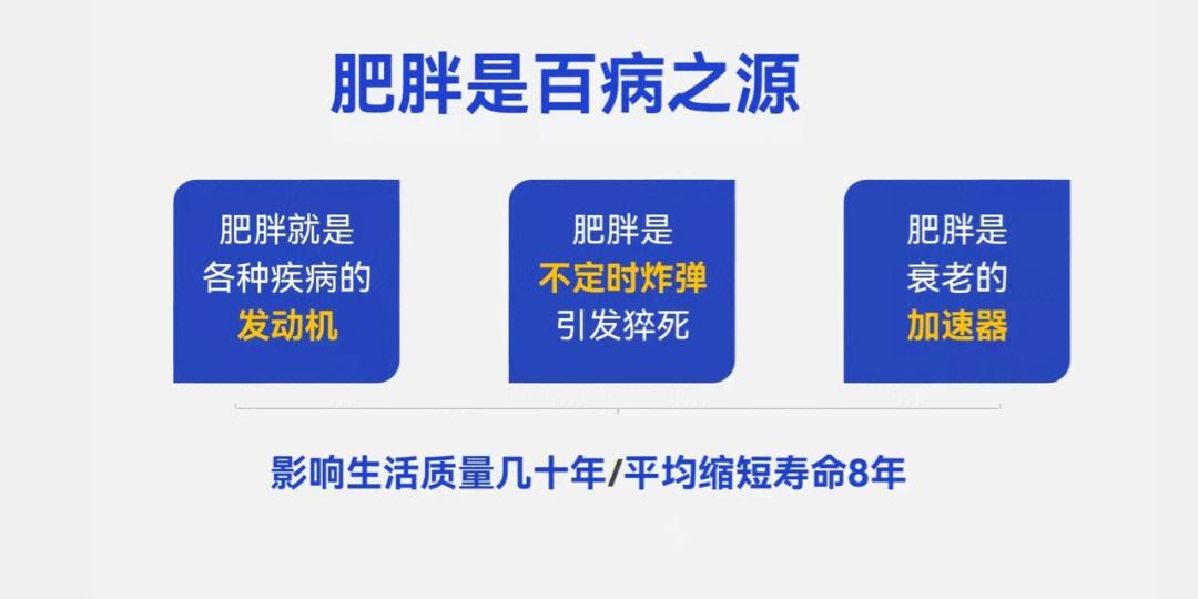 包含九游体育：运动员的营养与身体管理：饮食对表现的影响的词条